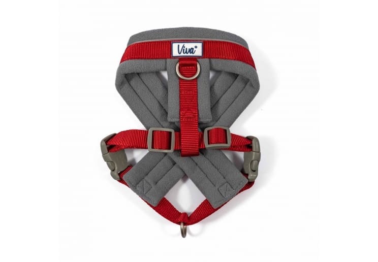 Viva Padded Harness Red (Various Sizes Available)
