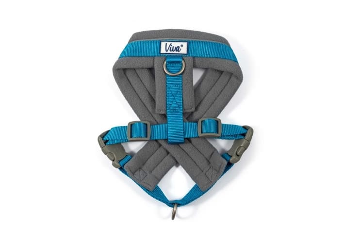 Viva Padded Harness Blue (Various Sizes Available)