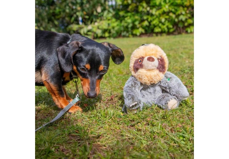 Made From Scout Sloth Mini - Image 4