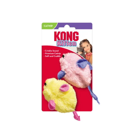 CE41_ON_PK_1
