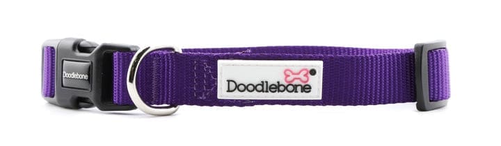 Doodlebone Collar Violet (Various Sizes Available)