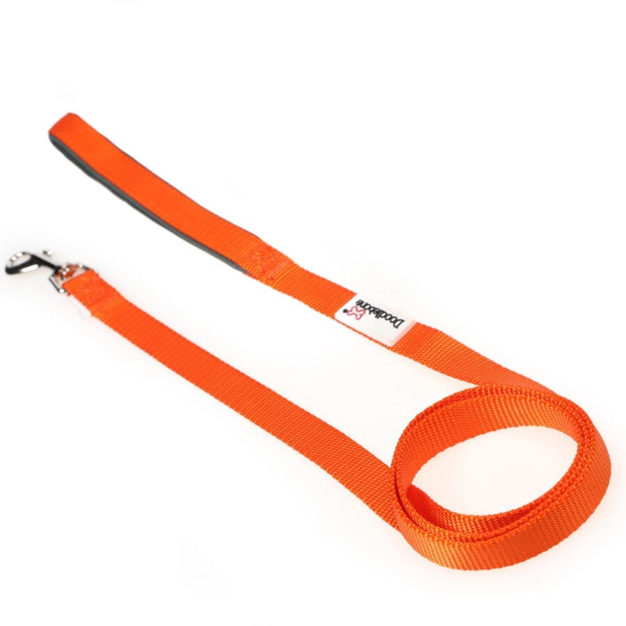 Doodlebone Padded Lead Tangerine (Various Sizes Available)