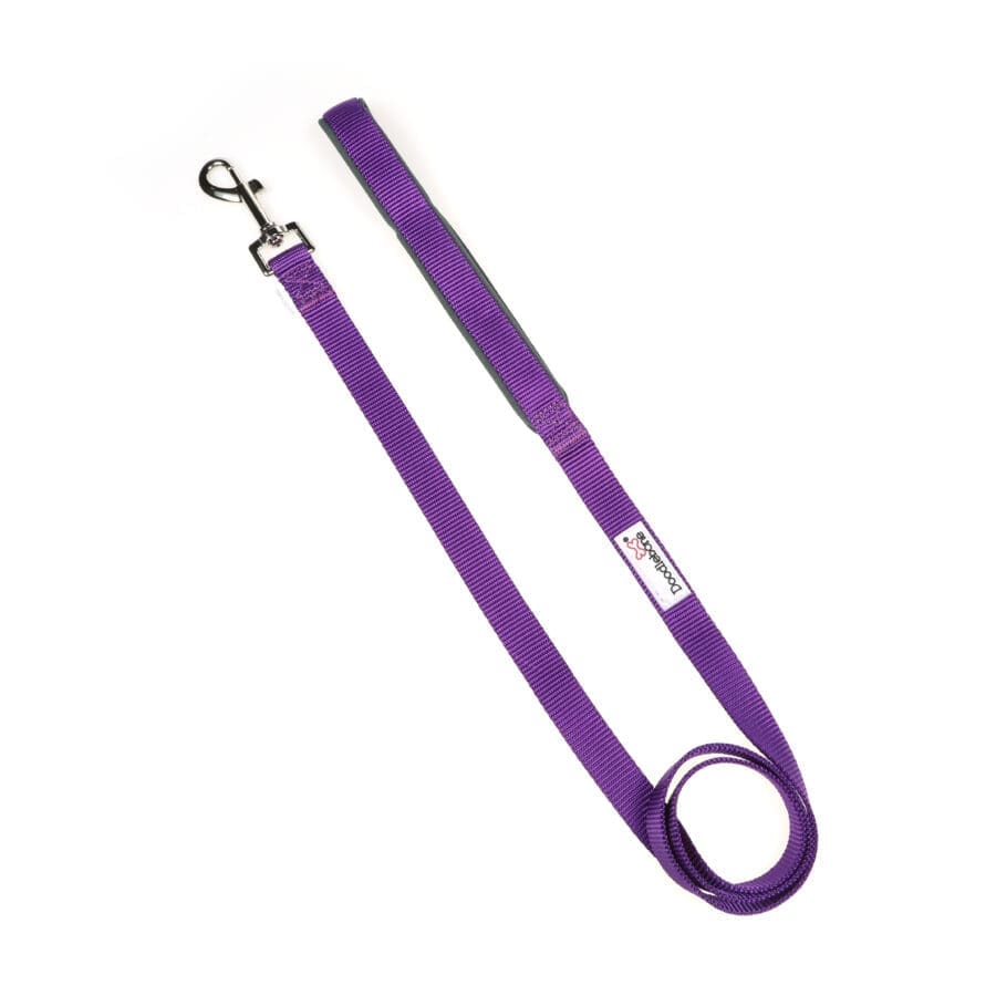 Doodlebone Padded Lead Violet (Various Sizes Available)