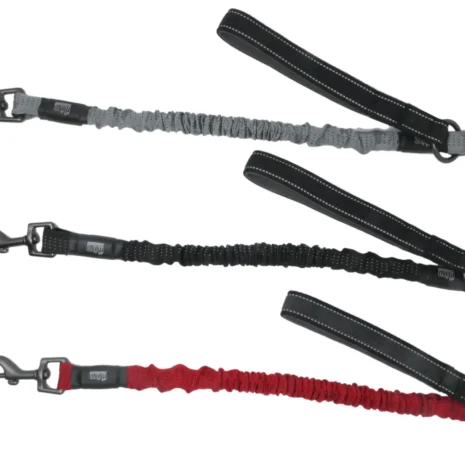 bungee75x3originalV1_1838x1400 bungee75x3originalV1_1838x1400