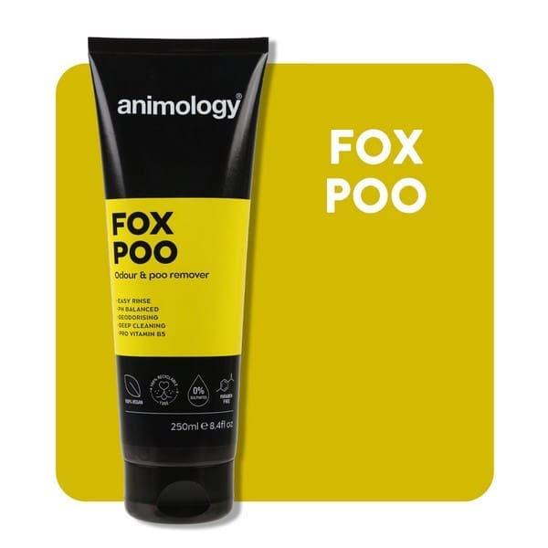 Shampoo