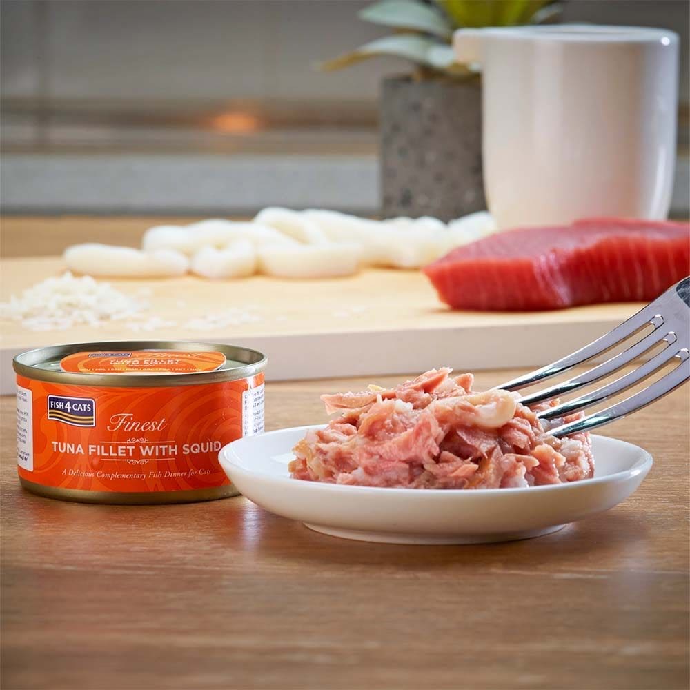 Fish4Cats Tuna Fillet with Squid 70g - Image 3