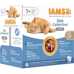 Iams Advanced Nutrition Adult Sea Collection with Jelly 8pk