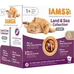Iams Advanced Nutrition Adult Land & Sea Collection in Jelly 8pk