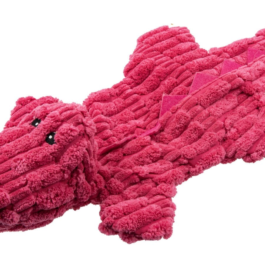 Zero Waste Daisy Dino
