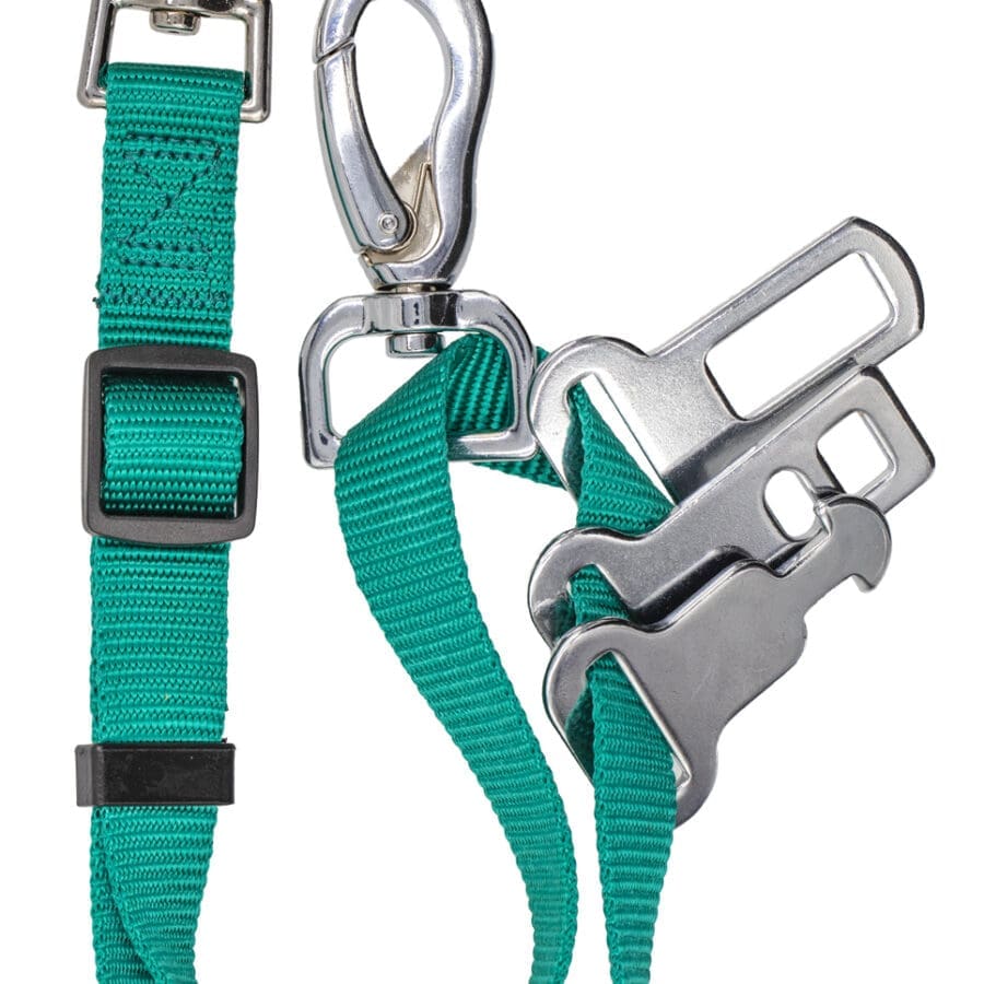 Sotnos Car Restraint Green