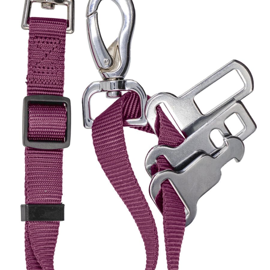 Sotnos Car Restraint Pink