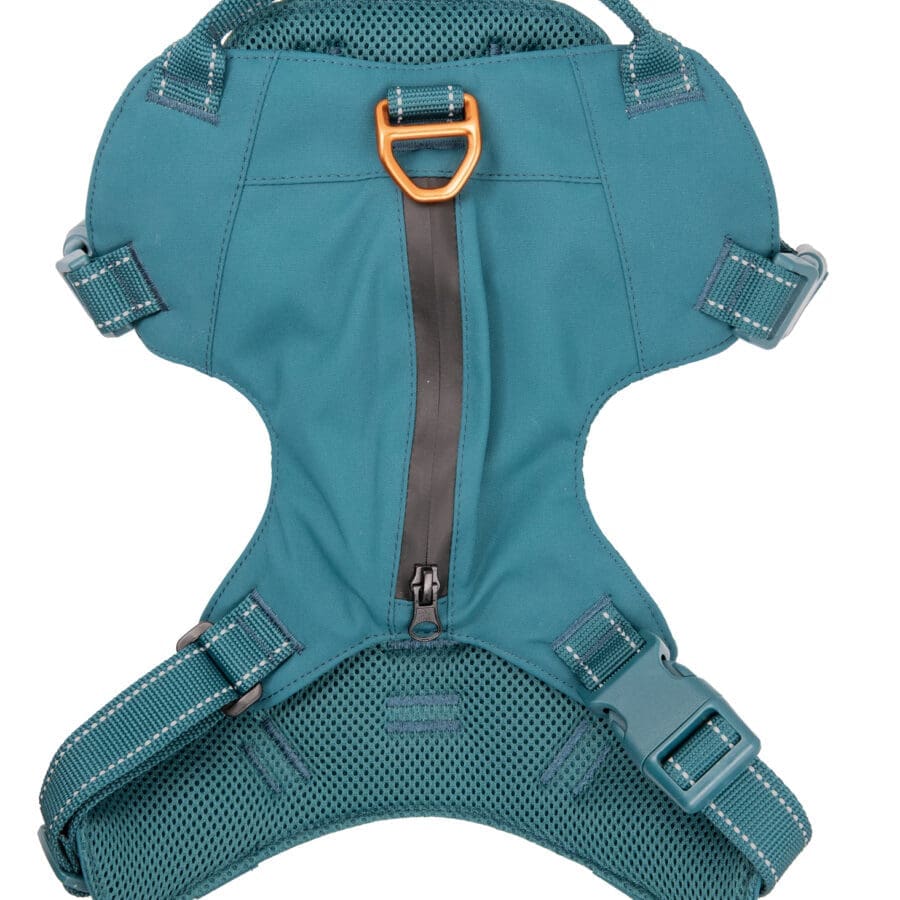 Sotnos Sport Harness Orange/Teal (Variety Of Sizes Available)