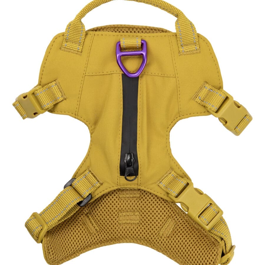 Sotnos Sport Harness Purple/Mustard (Variety Of Sizes Available)