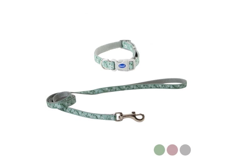 Small Bite Floral Collar Lead Set Sage
