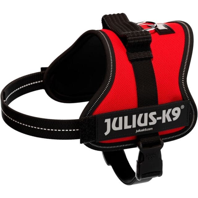 Julius-K9 Power harness Red (Various Sizes)