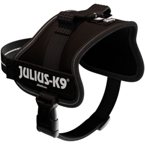 PHO_PRO_CLIP_150201-6_#SALL_#AWK_#V1 PHO_PRO_CLIP_150201-6_#SALL_#AWK_#V1