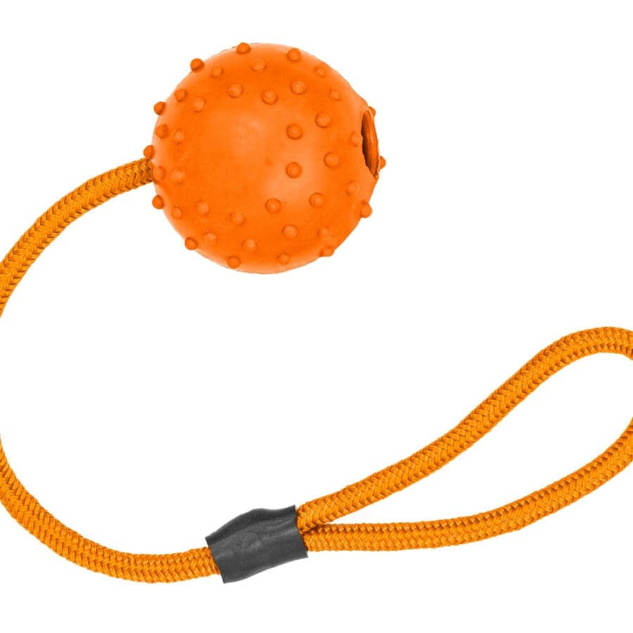 100% Rubber Ball On Rope Assorted Colours