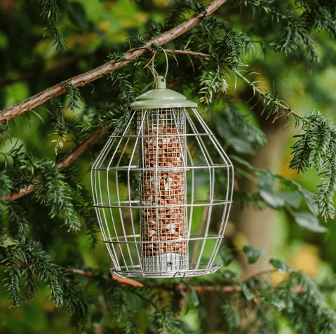 Peckish Canto Squirrel Proof Peanut Feeder