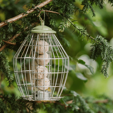 Peckish Canto Squirrel Proof Energy Ball Feeder